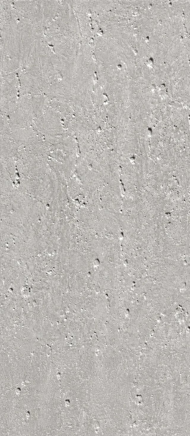 SPC-Wandpaneel Betonoptik – Soft Beton 203 – Ansicht 2
